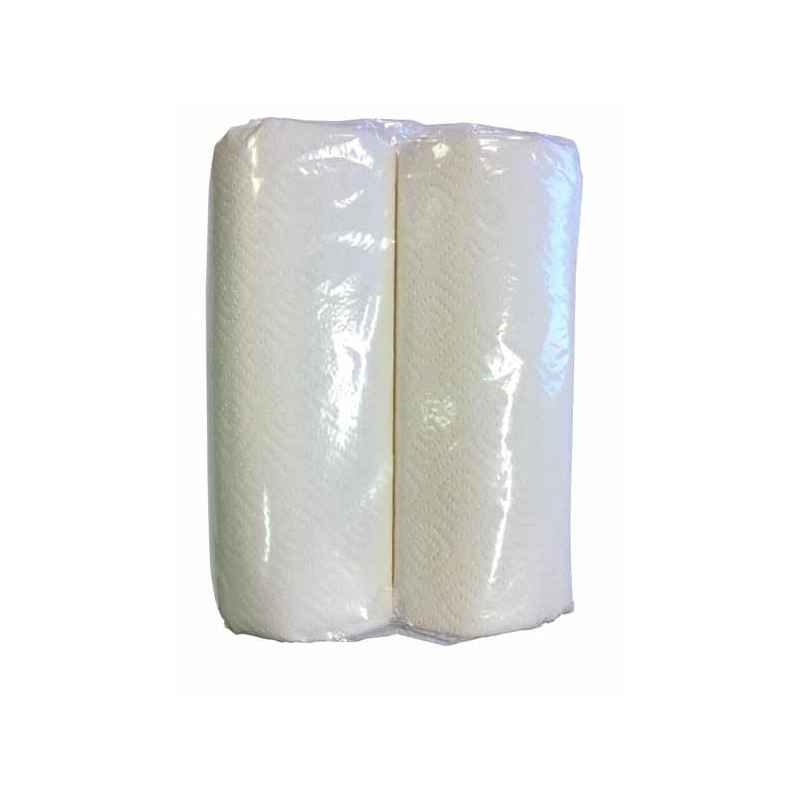 2 ROULEAUX D ESSUIE-TOUT, 48 COUPONS, 2 PLIS, GAUFRÉ, ÉCONOMIQUE.